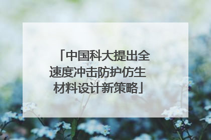 中国科大提出全速度冲击防护仿生材料设计新策略